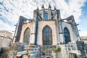 From Barcelona: Girona, Figueres, Dalí Museum, and Cadaqués