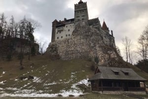 Au départ de Brasov : visite des châteaux et des environs