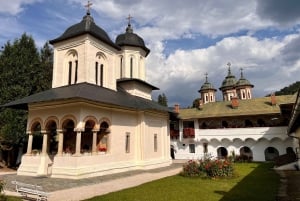 Au départ de Brasov : visite des châteaux et des environs
