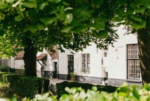 From Brussels: Guided Day Trip to Bruges and Ghent