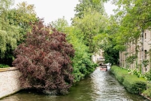 From Brussels: Guided Day Trip to Bruges and Ghent