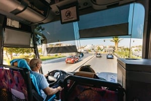 Från Chania: Dagsutflykt till Elafonisi-öns rosa sandstrand