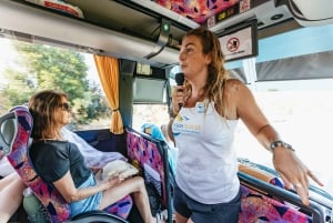 Från Chania: Dagsutflykt till Elafonisi-öns rosa sandstrand