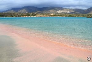 Från Chania: Dagsutflykt till Elafonisi-öns rosa sandstrand
