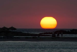 Från Chania: Dagsutflykt till Elafonisi-öns rosa sandstrand