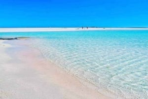 Från Chania: Dagsutflykt till Elafonisi-öns rosa sandstrand