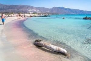 Från Chania: Dagsutflykt till Elafonisi-öns rosa sandstrand