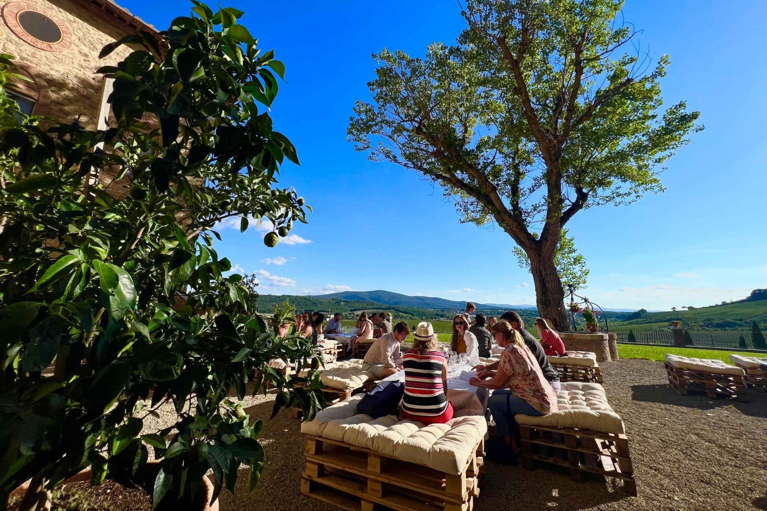 From Florence: Chianti Half-Day Afternoon Tour