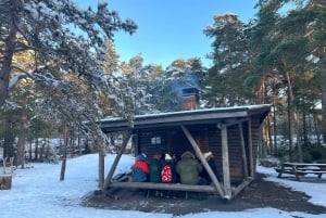 From Helsinki: Archipelago Excursion in Porkkalaniemi