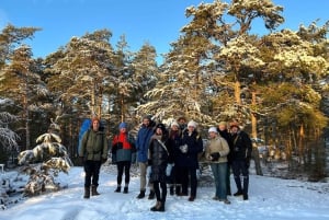 From Helsinki: Archipelago Excursion in Porkkalaniemi