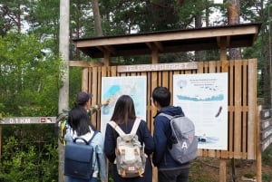 From Helsinki: Archipelago Excursion in Porkkalaniemi