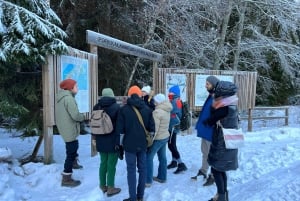 From Helsinki: Archipelago Excursion in Porkkalaniemi