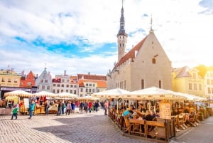 Fra Helsingfors: Guidet heldagstur med ferge til Tallinn