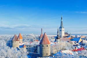 Fra Helsinki: Tallinn guidet heldagstur med færge