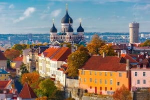 Fra Helsingfors: Guidet heldagstur med ferge til Tallinn