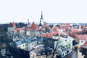 Fra Helsinki: Tallinn med færge tur/retur og guidet tur