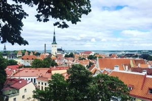 De Helsinque: Tallinn com balsa de ida e volta e tour guiado