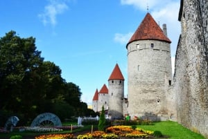 Fra Helsinki: Tallinn med ferge tur-retur og omvisning