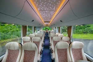 From Munich: Rothenburg and Nördlinger Ries Day Trip by Bus