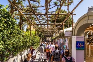 From Naples: Boat Tour of Amalfi, Positano and Ravello