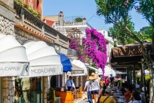 From Naples: Capri Guided Tour with Ferry Tickets & Minibus