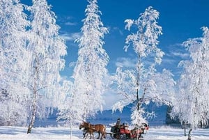 Au départ de Salzbourg : 8 heures d'excursion en calèche avec 2 heures de balade en traîneau