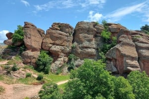 Fra Sofia: Dagstur til Belogradchik-klippene og festningen