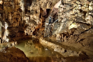 From Sofia: Saeva Dupka and Ledenika Caves Tour