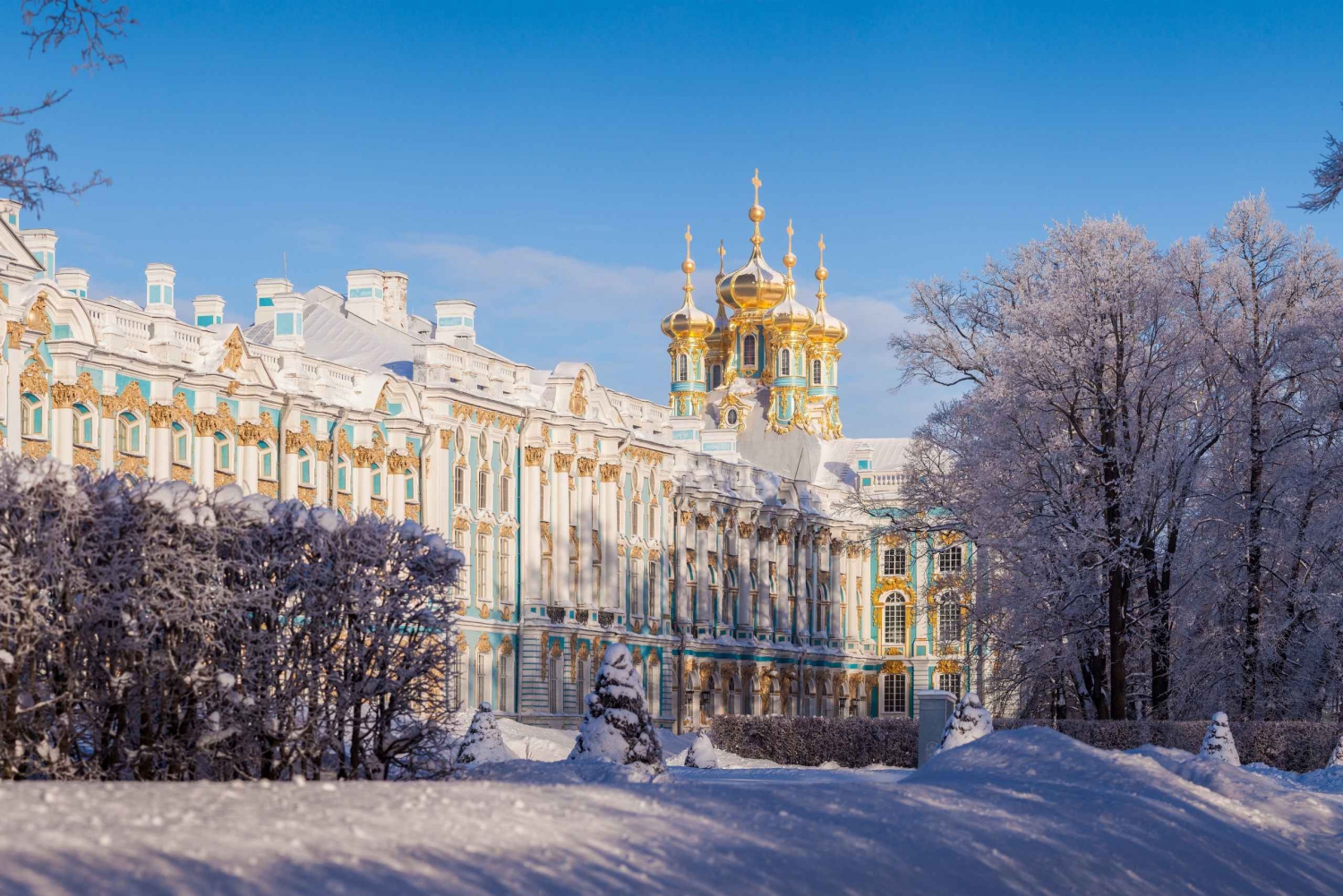 From St. Petersburg: Catherine Palace Tour with Amber Room