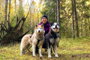From St. Petersburg: Husky Dog-Trekking and Russian Sauna