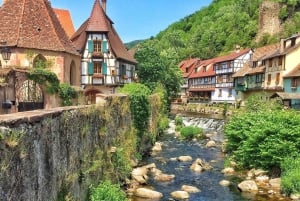 From Strasbourg: Best Of Alsace Historical Day Trip