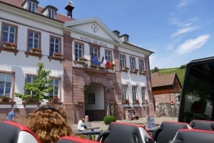 From Strasbourg: Best Of Alsace Historical Day Trip