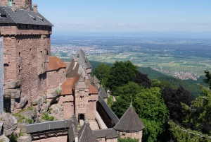 From Strasbourg: Best Of Alsace Historical Day Trip