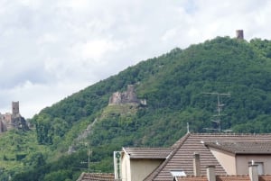 From Strasbourg: Best Of Alsace Historical Day Trip