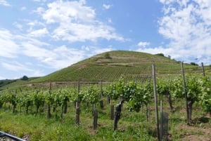 From Strasbourg: Best Of Alsace Historical Day Trip