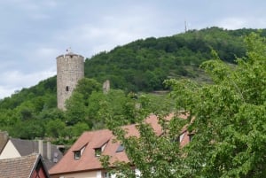 From Strasbourg: Best Of Alsace Historical Day Trip