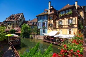 Ze Strasburga: Całodniowa wycieczka Highlights of the Alsace Tour