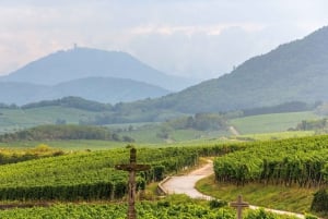 Ze Strasburga: Całodniowa wycieczka Highlights of the Alsace Tour