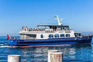Geneva: 50-Minute Lake Geneva Cruise