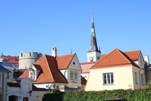 Helsinki: Tallinn Guided Day Tour with Ferry Crossing