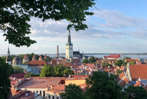 Helsinki: Visita guiada de un día a Tallin con travesía en ferry