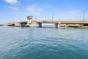 Madeira Beach: Guided Dolphin Watching Eco-Friendly Cruise