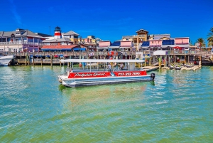 Madeira Beach: Guided Dolphin Watching Eco-Friendly Cruise