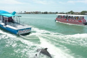 Madeira Beach: Sightseeing Cruise to John's Pass with Guide