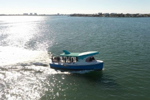 Madeira Beach: Sightseeing Cruise to John's Pass with Guide