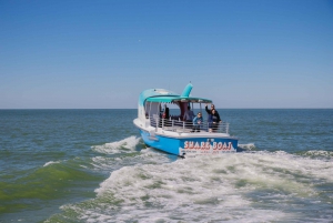 Madeira Beach: Sightseeing Cruise to John's Pass with Guide