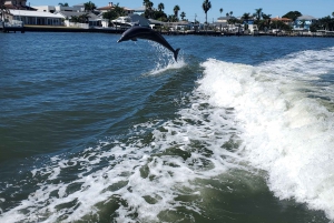 Madeira Beach: Sightseeing Cruise to John's Pass with Guide