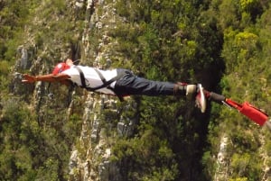 Plettenberg Bay: Bungee Jumping with Zipline and Sky Walk