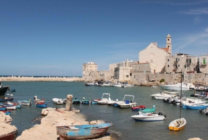 Visite privée Giovinazzo : Défense de la mer et de la beauté