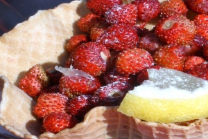 Rome: Beauties and Flavors of the Romans with Wine Tasting